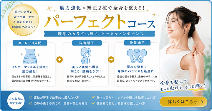 パーフェクトコース